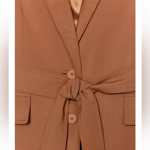 ZARA BLOGGERS FAV BELTED OVERSIZED BLAZER - Picture 4 of 5